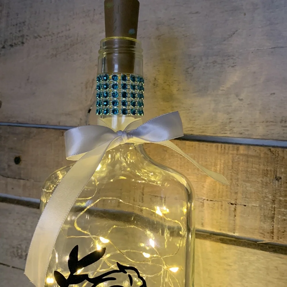 Elsa character bottle lantern